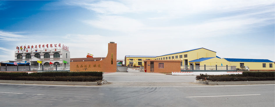 滄州渤海電力管件有限公司